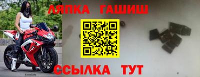 эйфоретик Малгобек